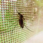 Epidemia a Cuba: scarseggiano i medicinali