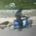 San Sebastiano al Vesuvio, dog sitter denunciato per folle gesto