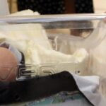 Cesena: Neonato Salvo Dopo l'Abbandono, la Madre in Ospedale