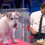 Gennarino di Affari Tuoi: la vera identità del cagnolino