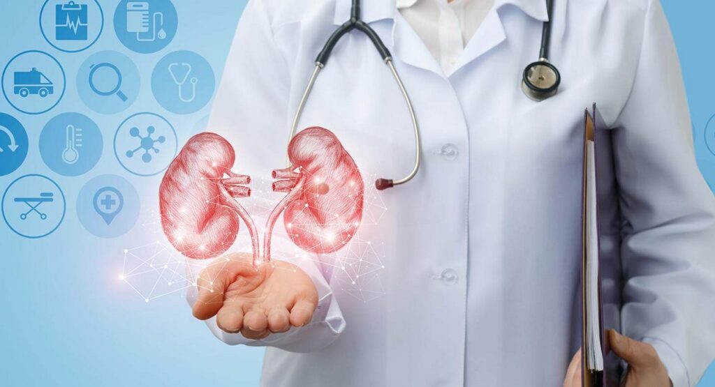 Nefrologi: ecco come proteggere i reni e i controlli utili