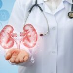 Nefrologi: ecco come proteggere i reni e i controlli utili