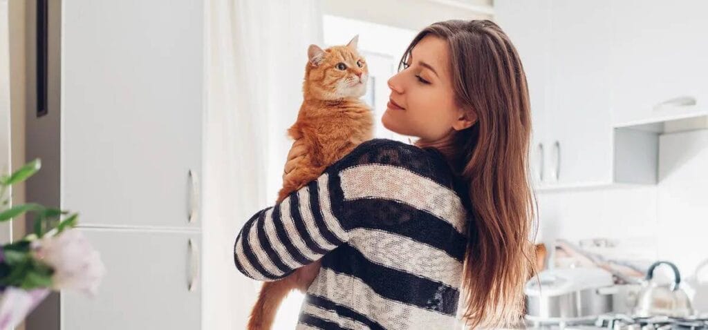 Sai come accarezzare un gatto nel modo giusto?